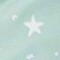 1c Sagestar