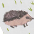 1u Hedgehog