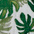 1u Tropical